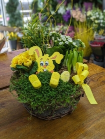 Easter Planted Arrangement
