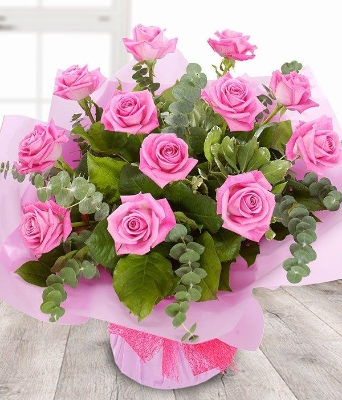 Pink Roses (12)