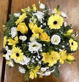 Yellow and White Posy